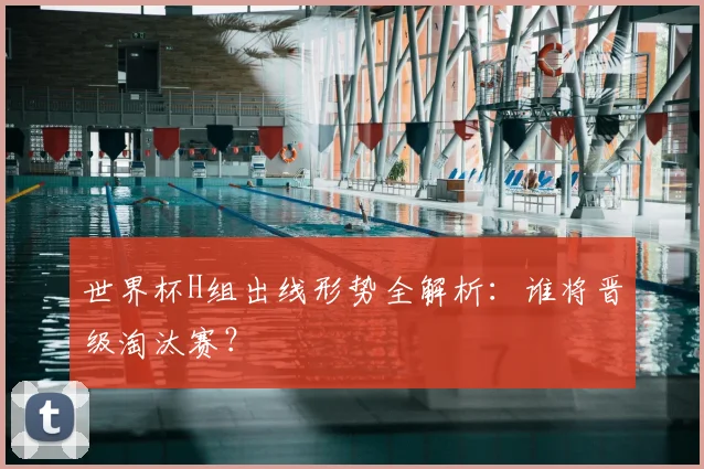 世界杯H组出线形势全解析:谁将晋级淘汰赛?