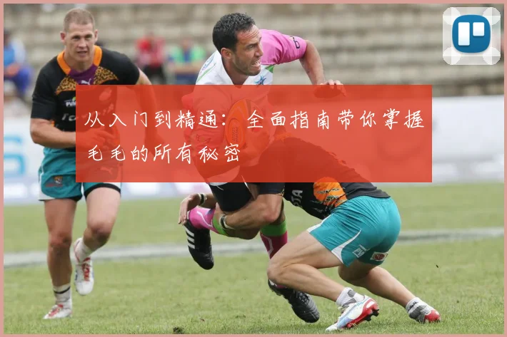 从入门到精通:全面指南带你掌握毛毛的所有秘密